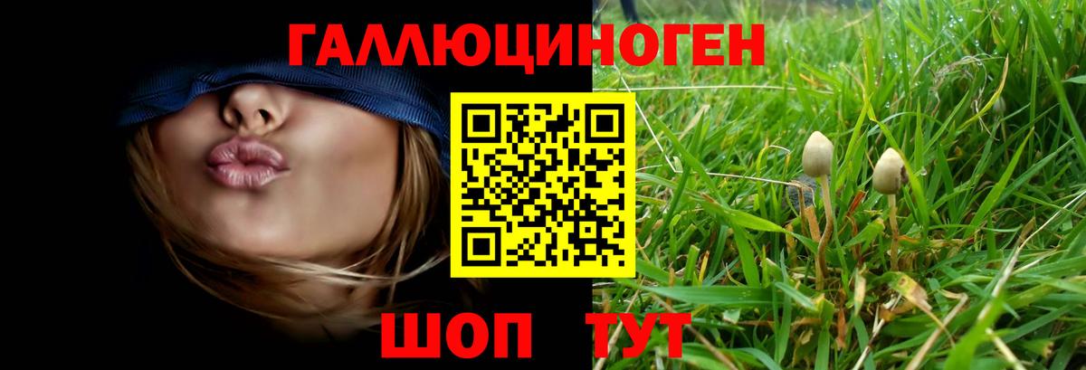 Янаул  Галлюциногенные грибы Psilocybine cubensis  Вход с VPN  Псилоцибиновые грибы MAGIC MUSHROOMS 